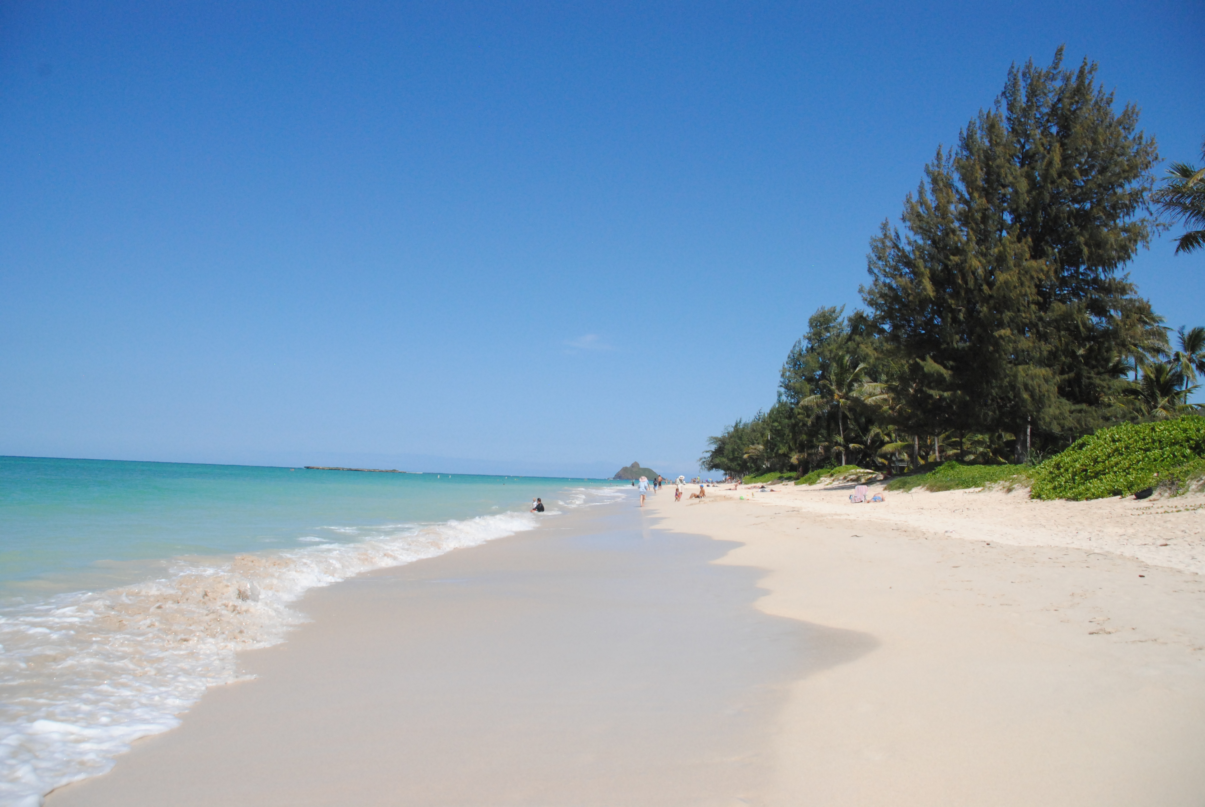 LanikaiKailua beach2