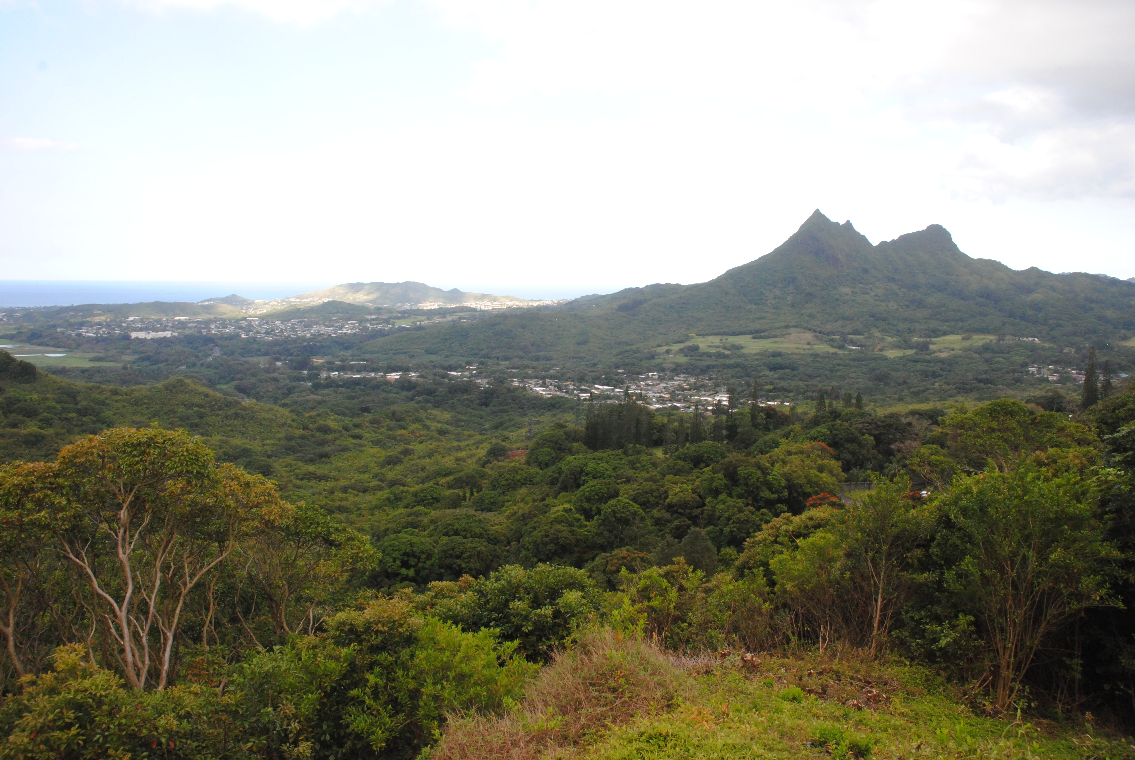 Viewpoint
