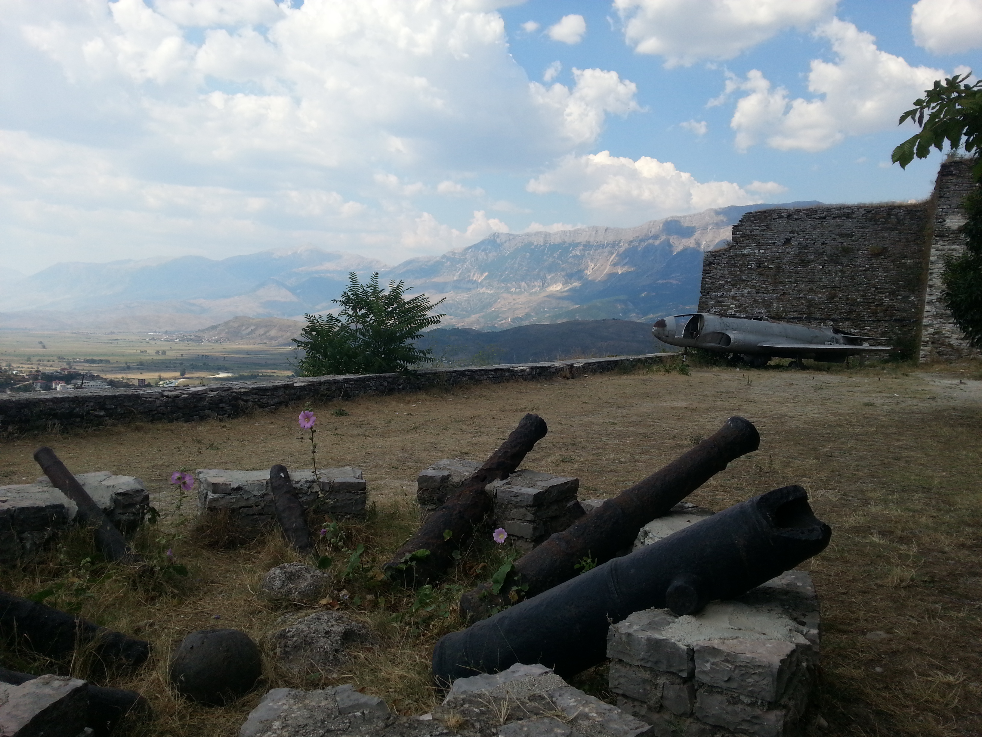 Cannons and the American airplane
