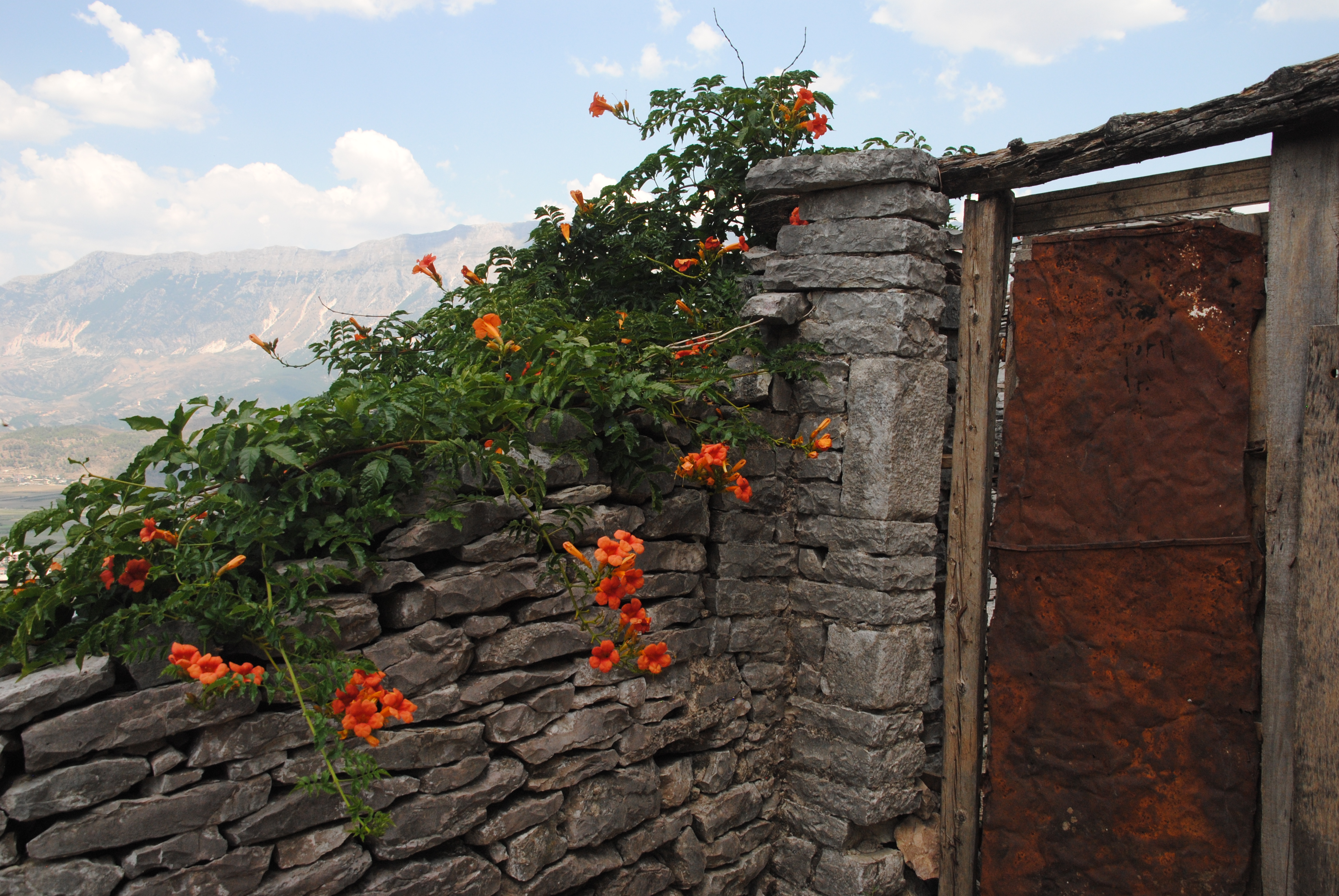 Gjirokastra hillside