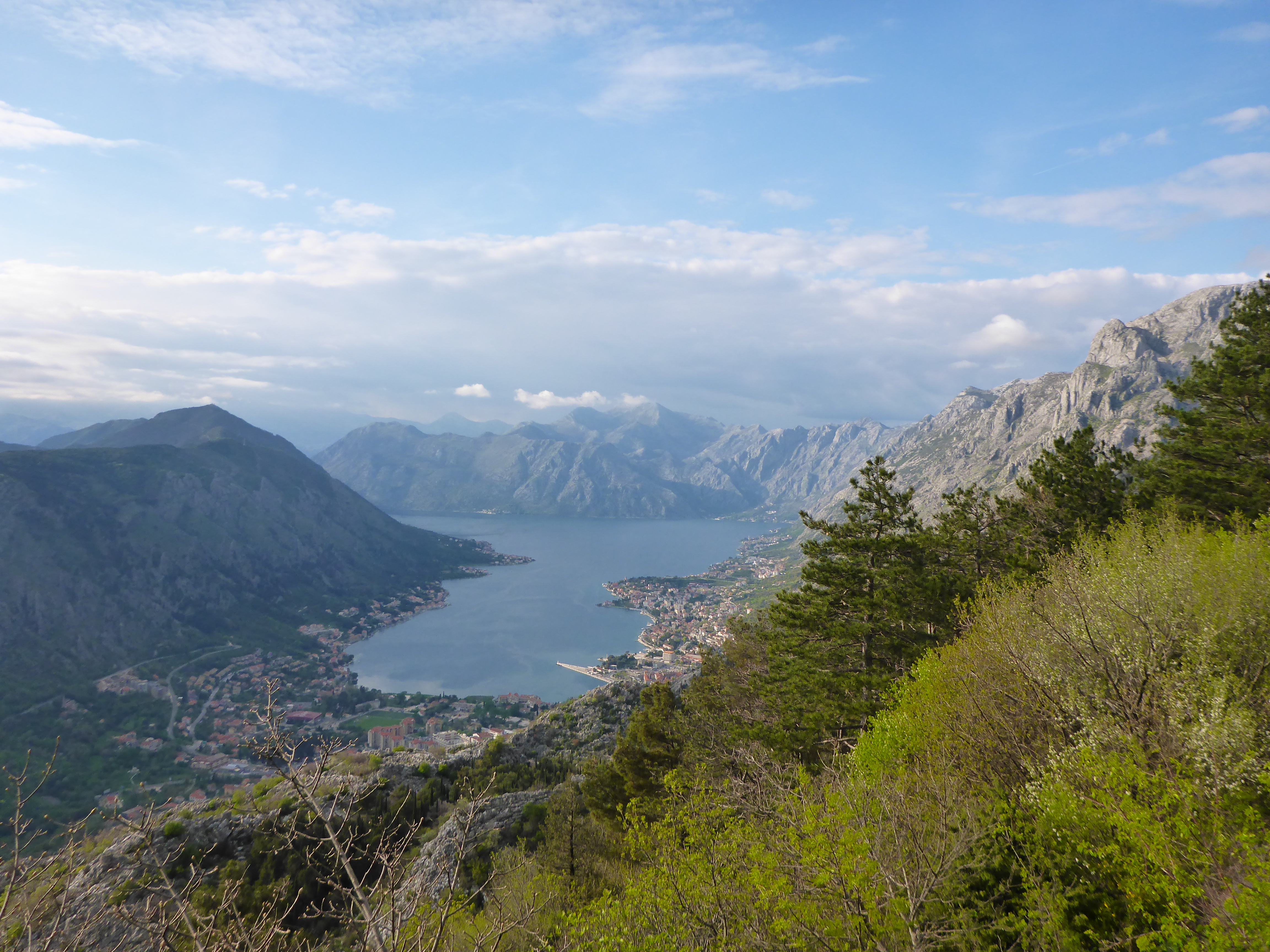 View of Kotor and the bay