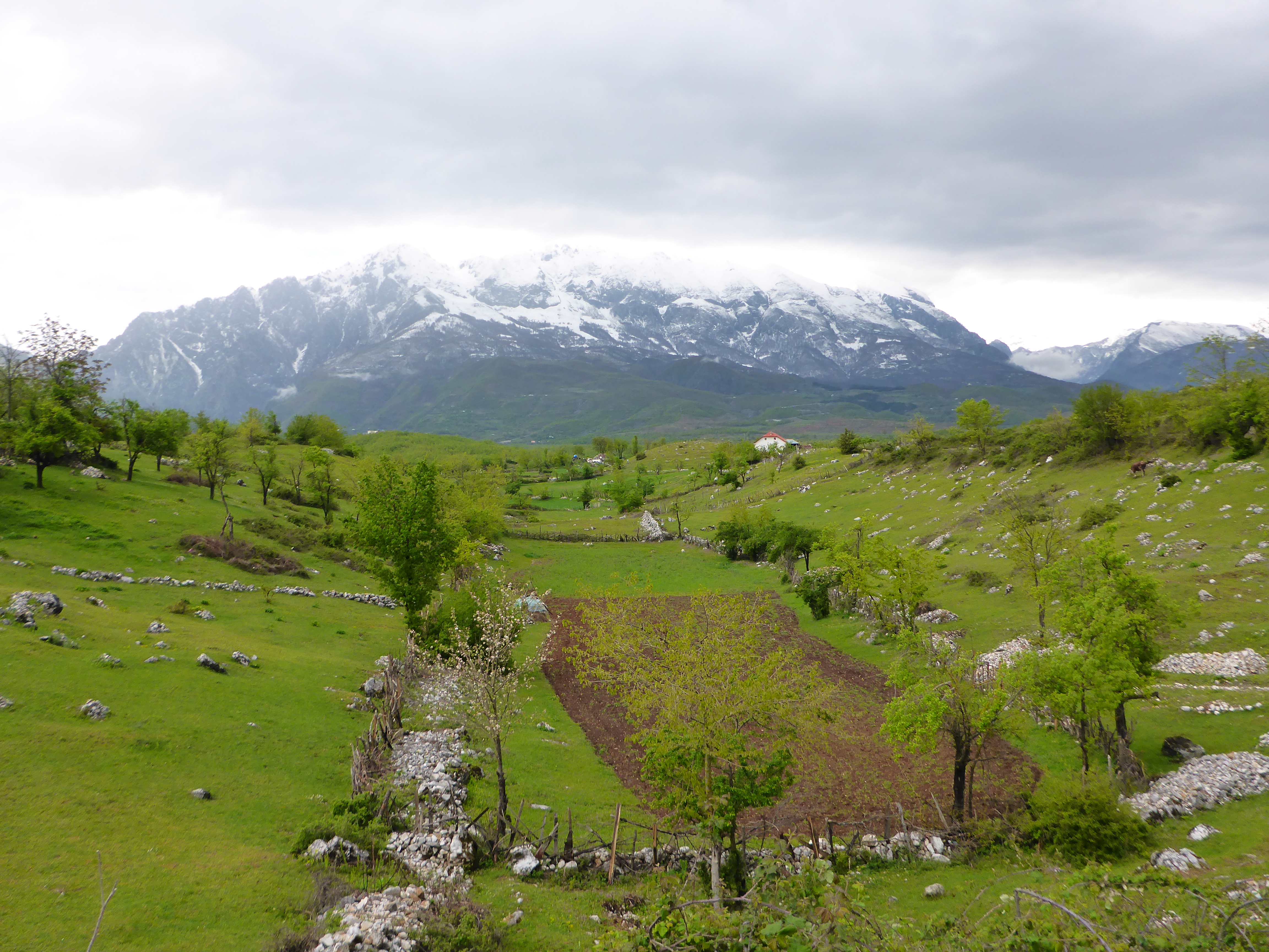 Farming in the mountains close to Bajram Curry.