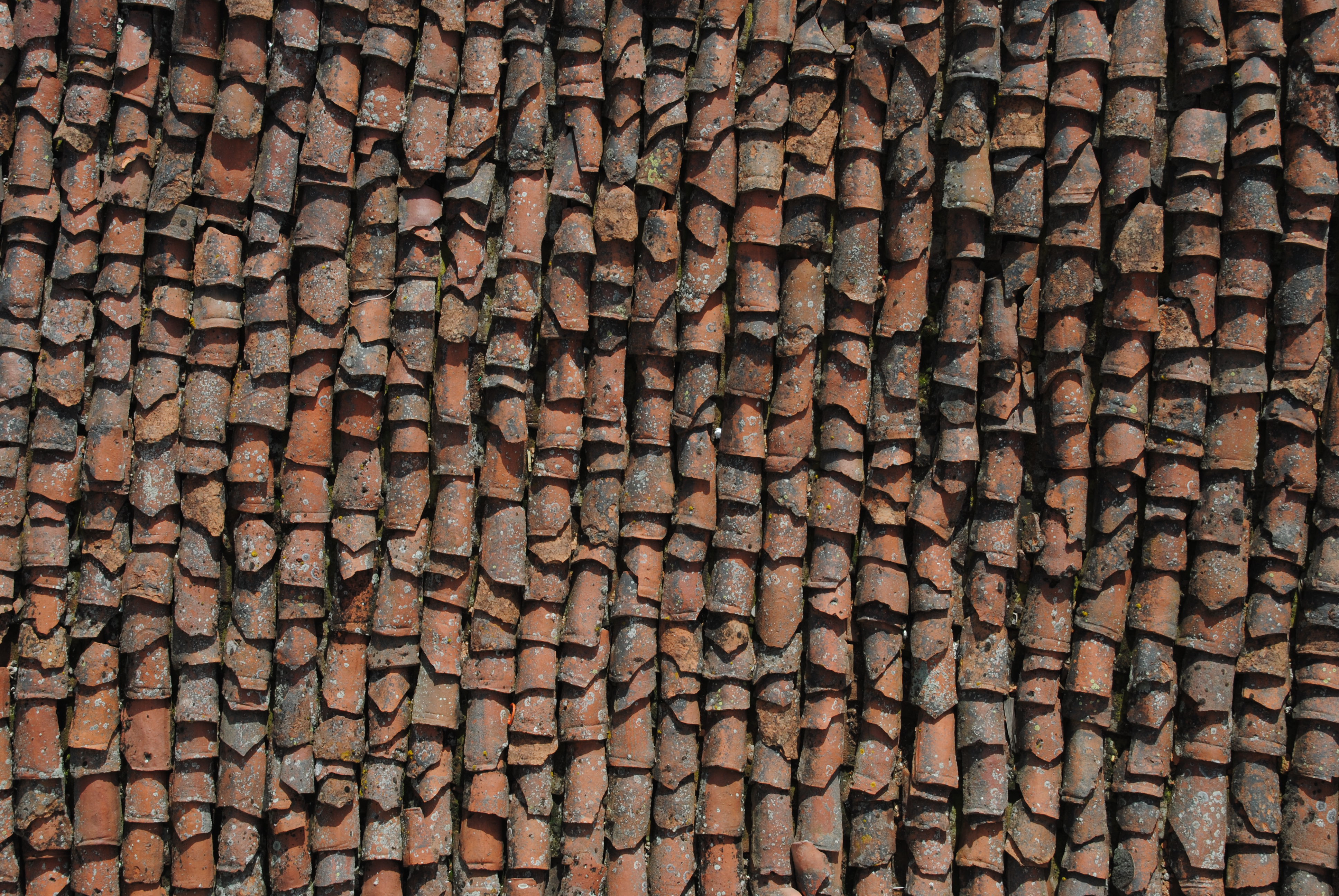 Red roof in Ohrid