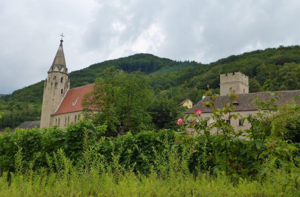 By Weissenkirchen between Spitz and Krems in the Wachau area, Austria 2