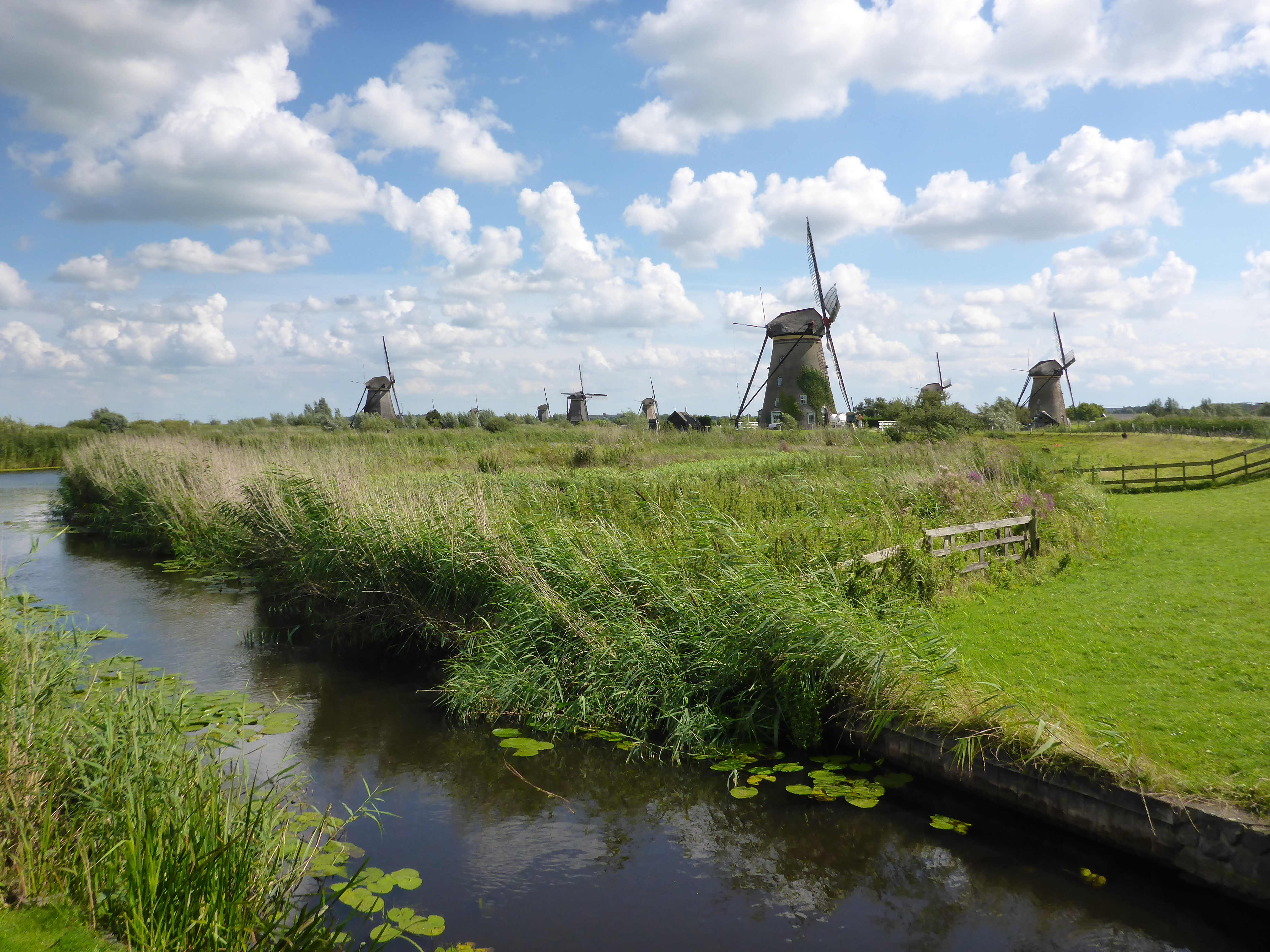 Mills in Kinderdijk