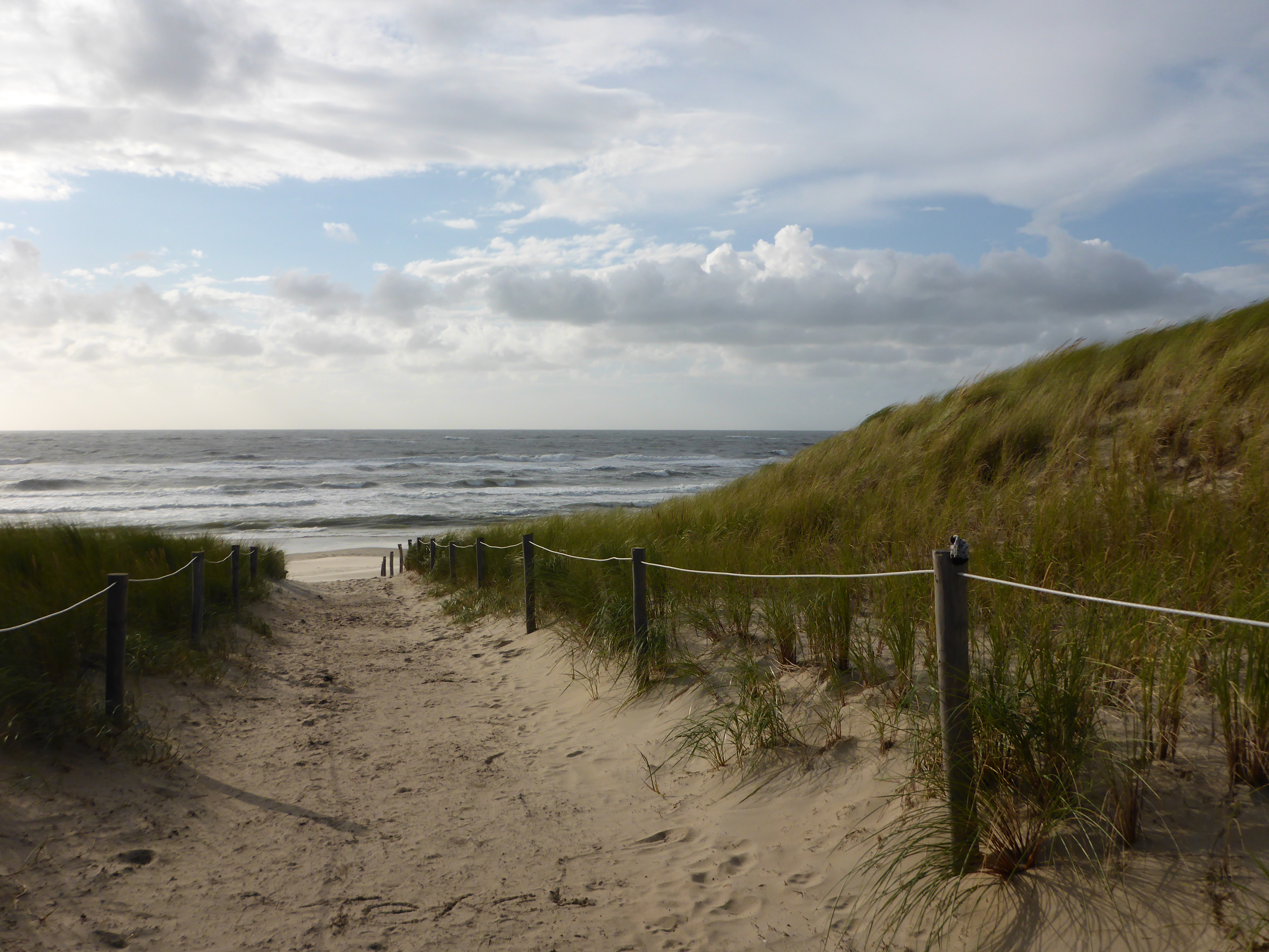 This way to the beach!