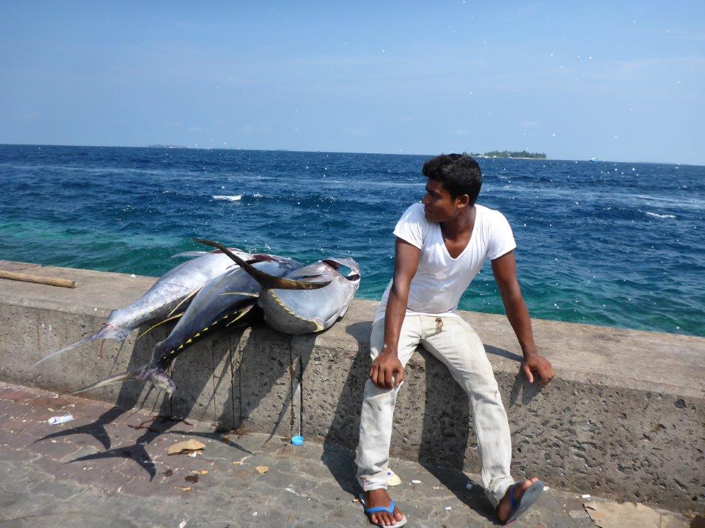 A man and his tunas