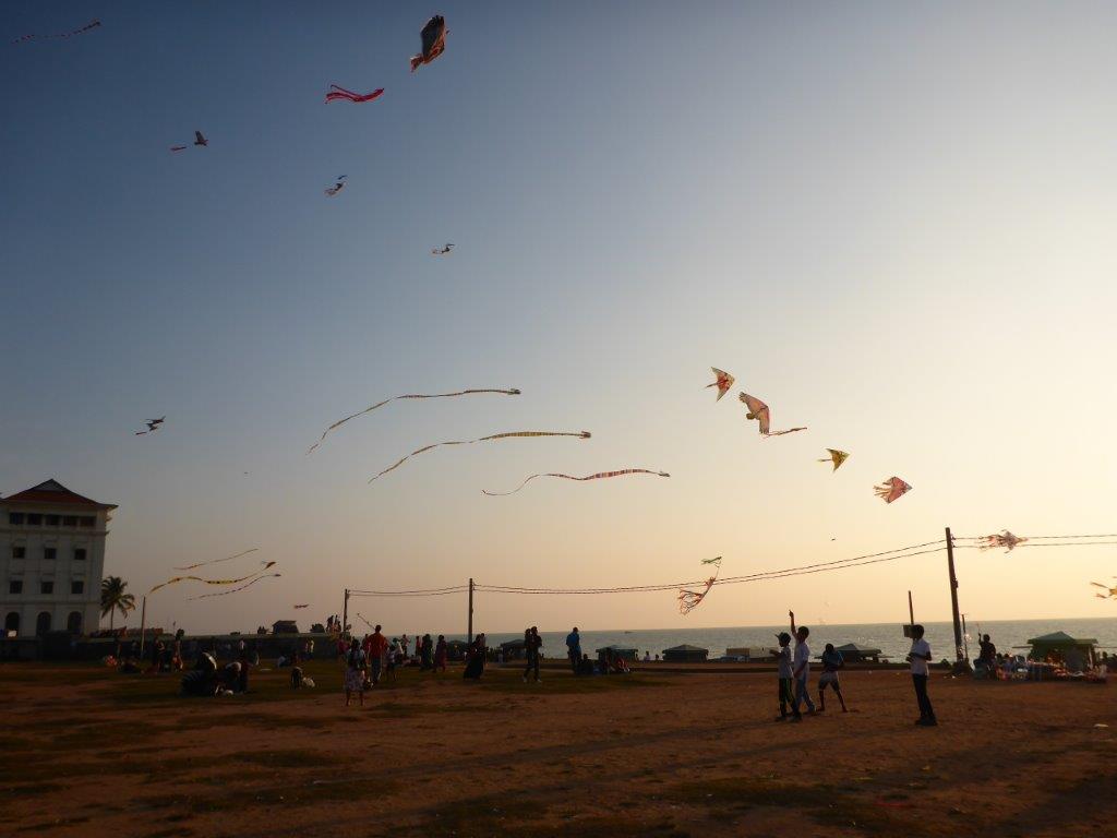 Kites flying high at Galle Face Green in Colombo
