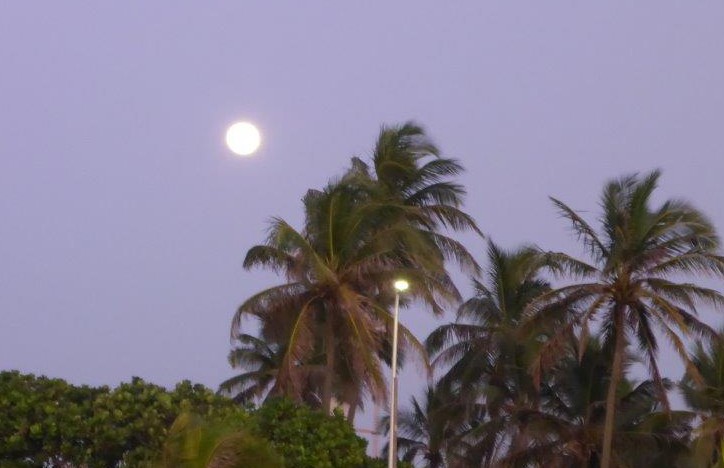 Poya day - Full moon