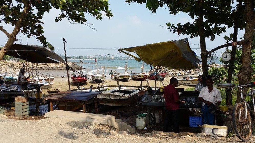 Fishermen selling their fish outside the walls of Galle Fort