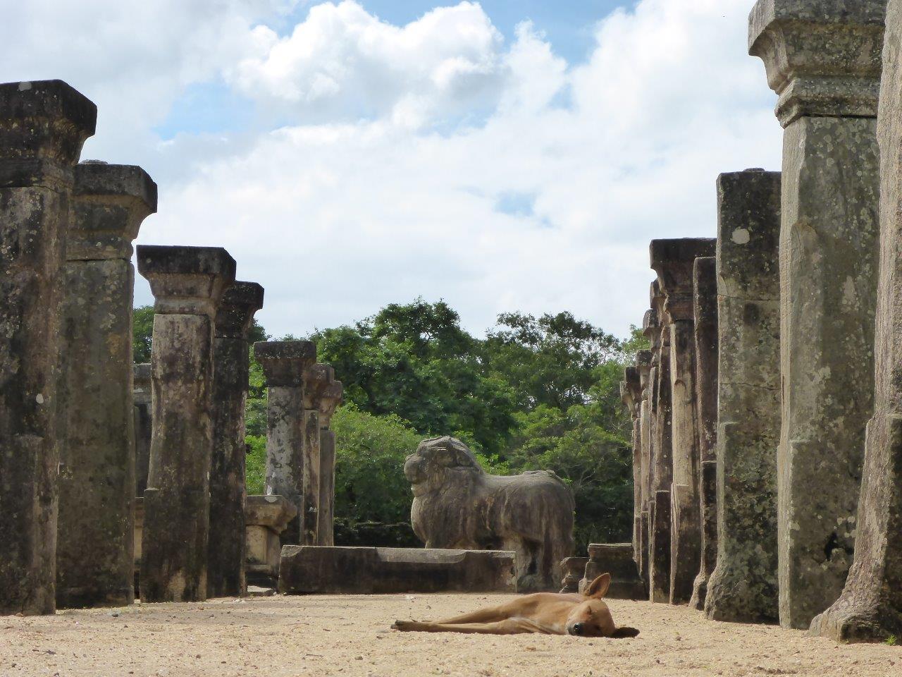 Council Chamber of Nissankamalla in Island Park, Polonnaruwa