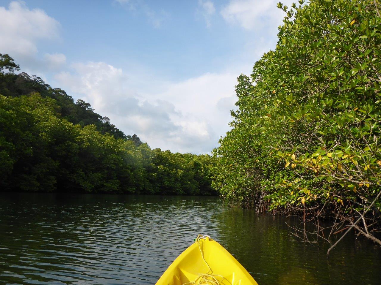 Paddling along the mangroves at Koh Kood