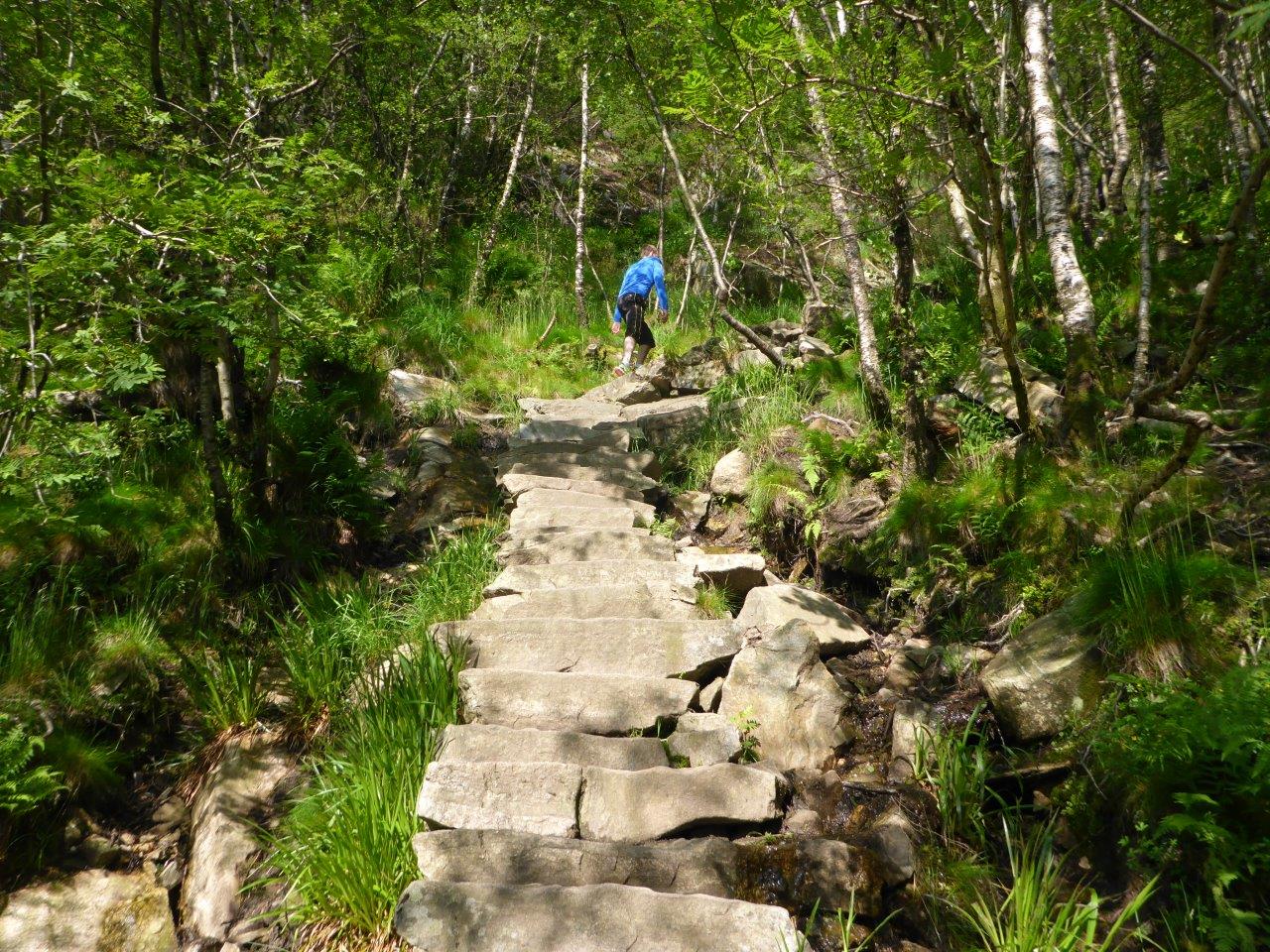 Walkng up Stoltzekleiven in Bergen