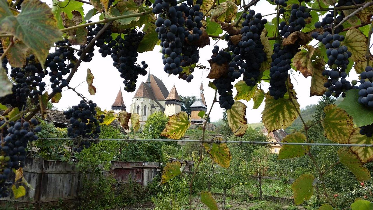 Biertan fortified church seen from the village