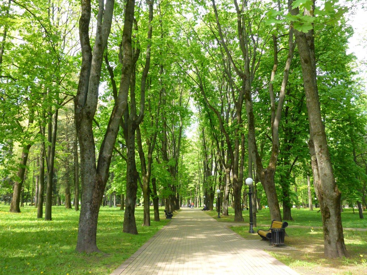 A walk in one of the parks in Minsk, Belarus