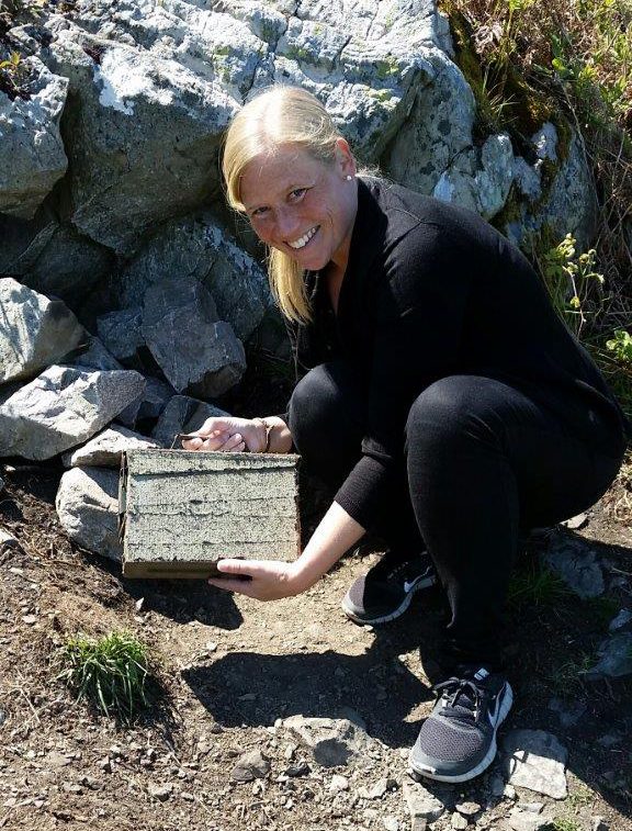 Found Europes first cache along the cliff walk between Bray and Greystone outside Dublin, Ireland