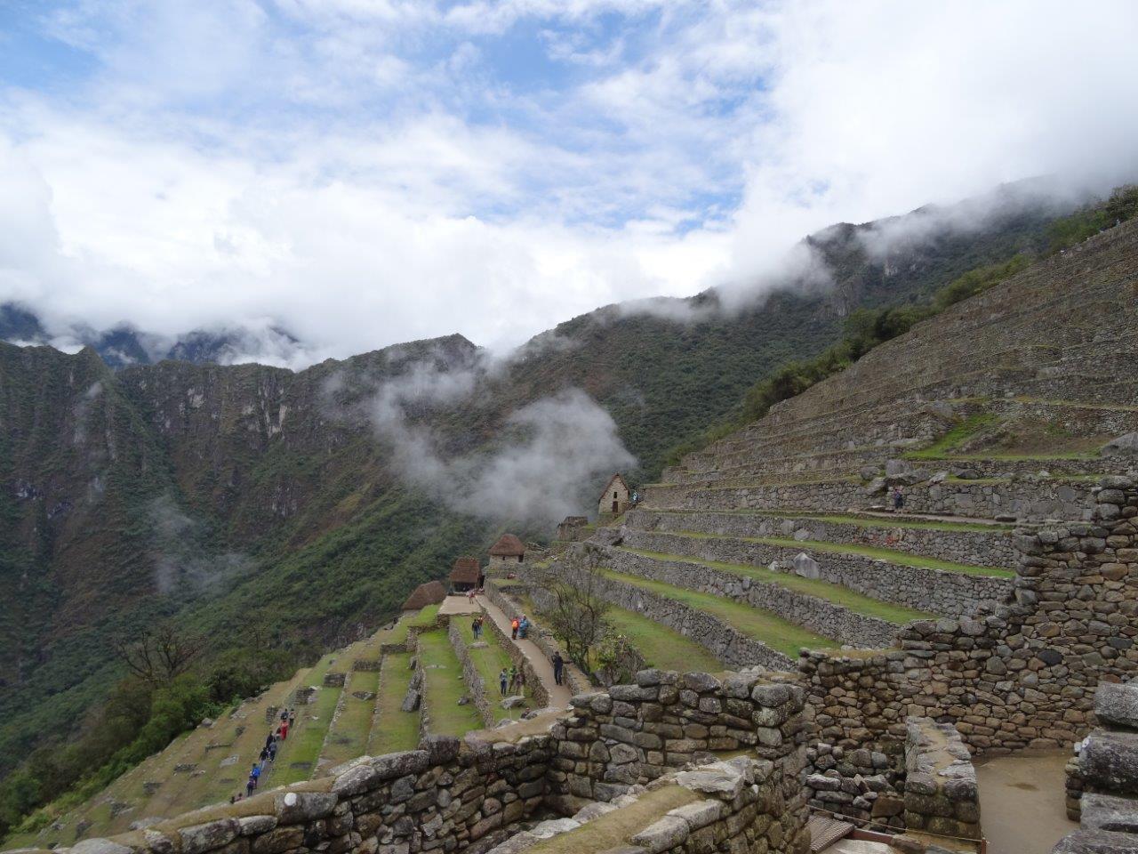 Just a few of the terraces in Machu Picchu, Peru.