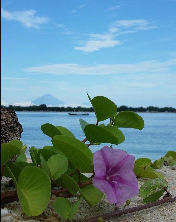 Bali volcano view. Gili Meno island, Indonesia