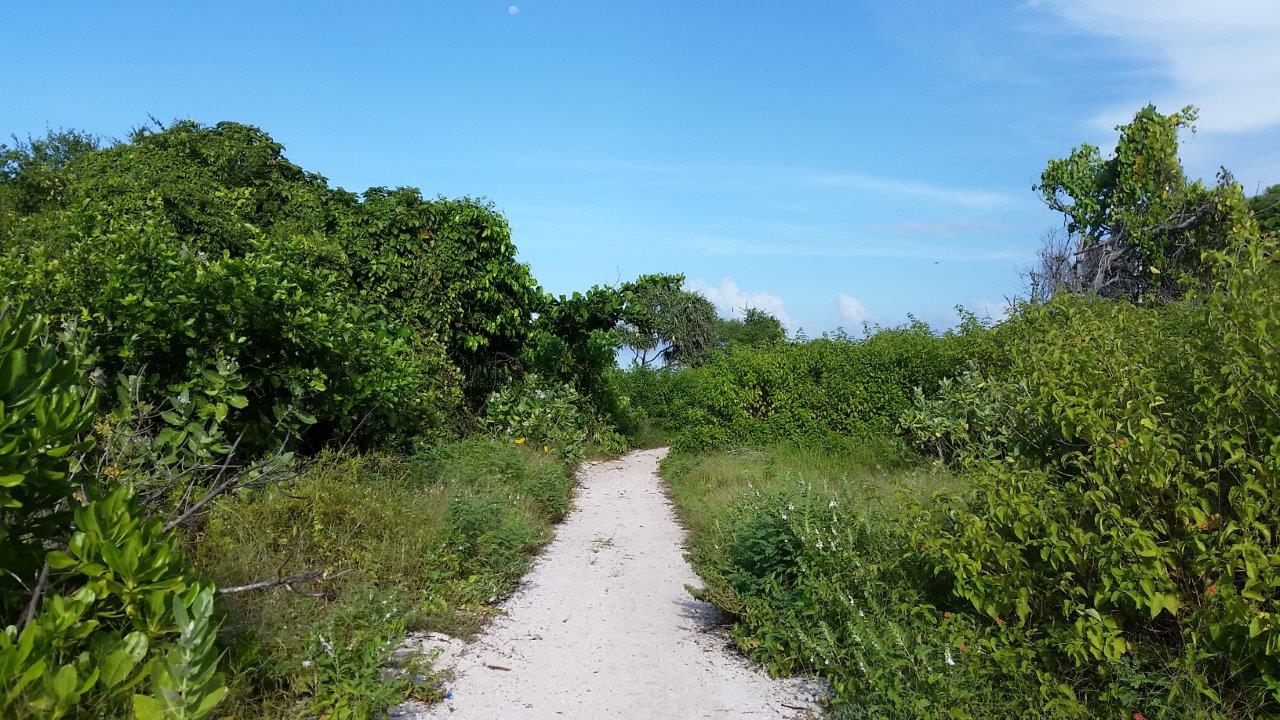 Nice walking paths at Gili Meno island, Indonesia