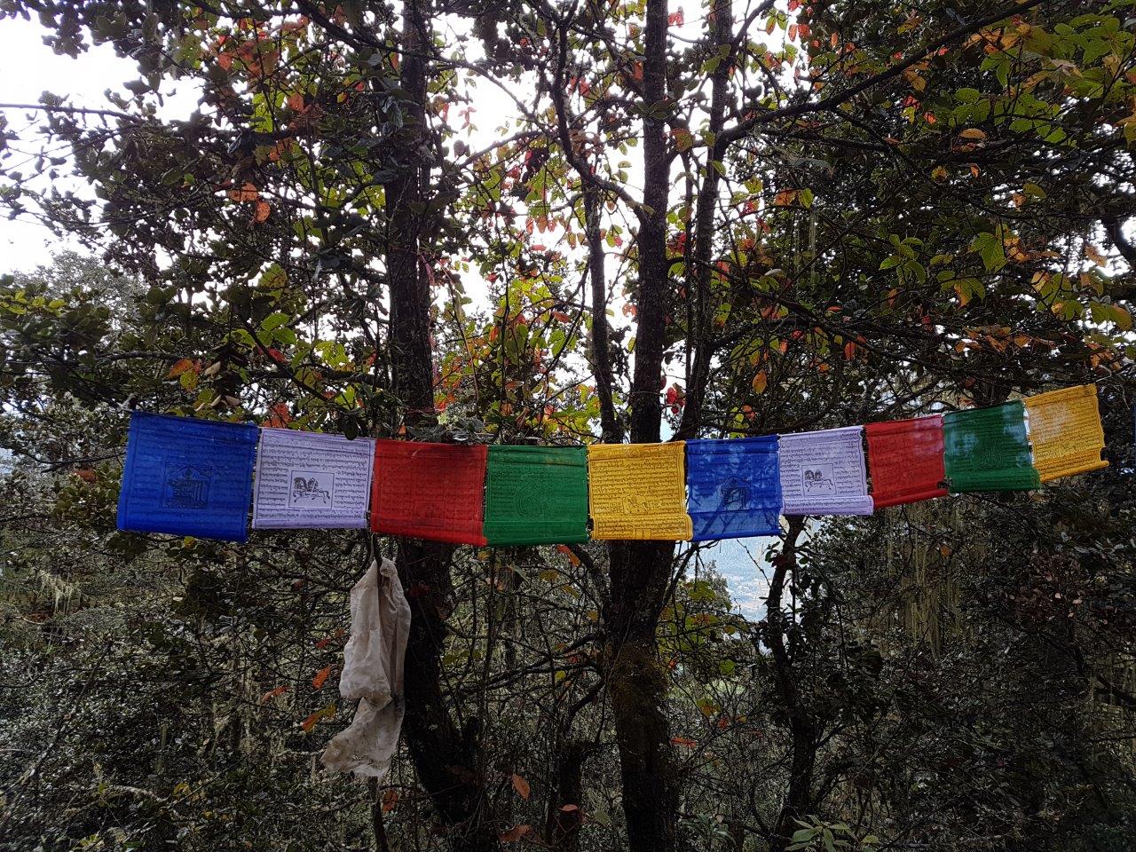 Prayer flags in the wind. Tiger's Nest. Paro Taktsang. Bhutan.