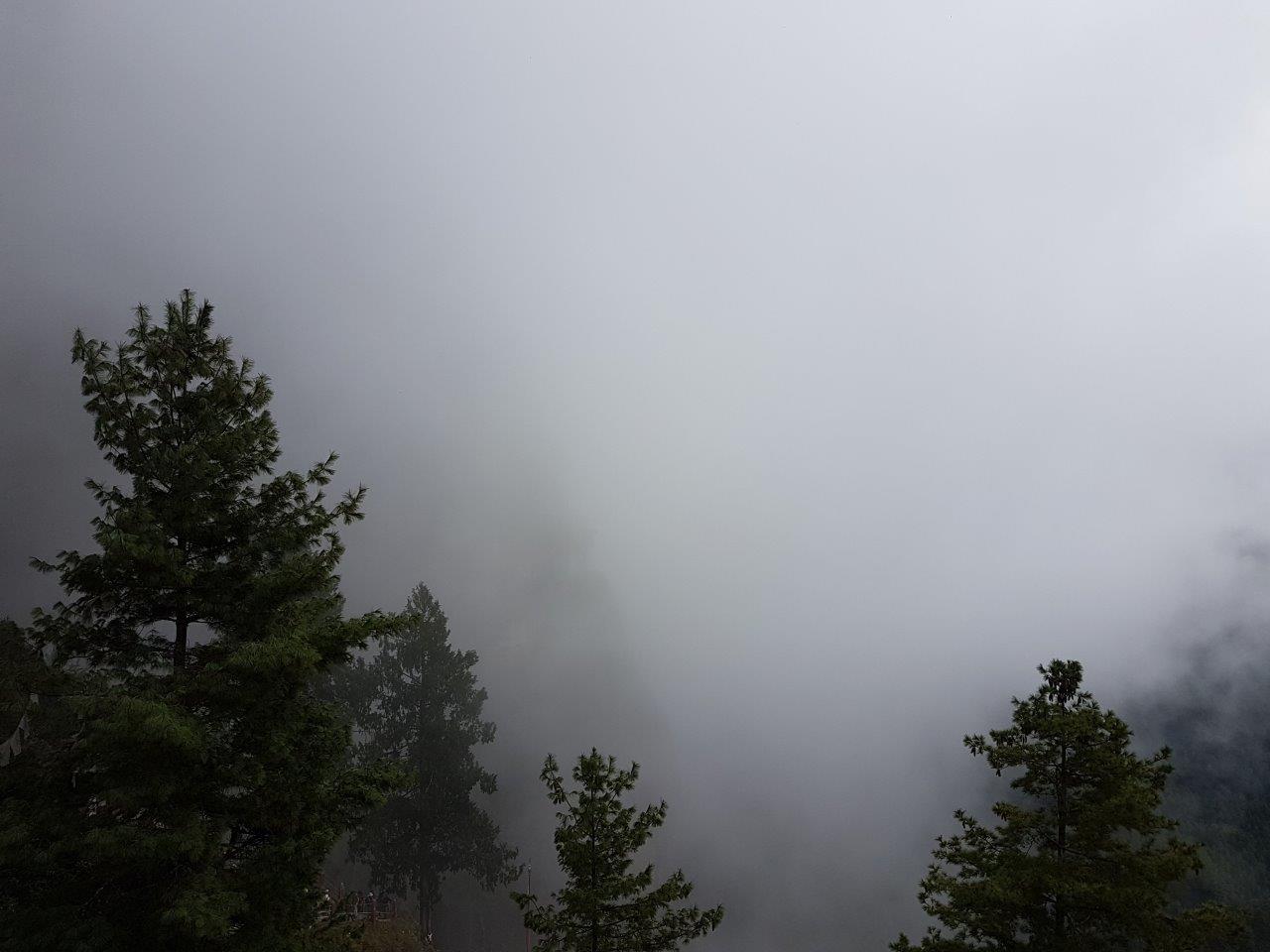 The grey wall of cloud hiding the Tiger's Nest. Paro Taktsang. Bhutan.