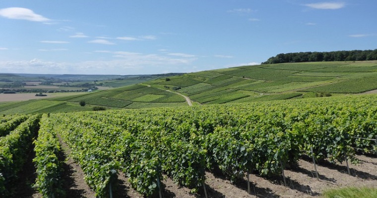 When in Champagne…