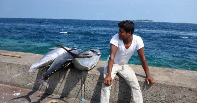 Stopover in Male, the Maldives
