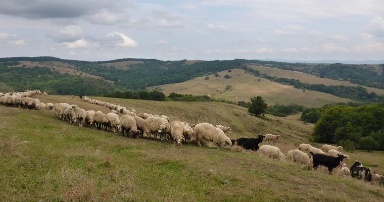 Driving from Brasov to Sighisoara via Fagaras