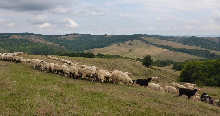 Driving from Brasov to Sighisoara via Fagaras
