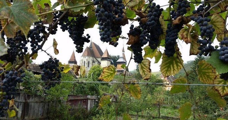 Daytrip from Sighisoara to Biertan fortified church and Bethlen castle in Cris