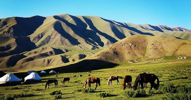 Three day horse-riding trip to Song Kul