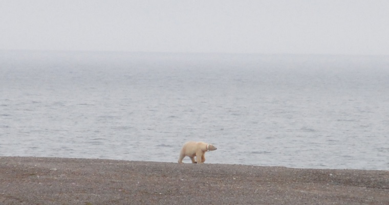 Experiencing Isfjord Radio and Barentsburg
