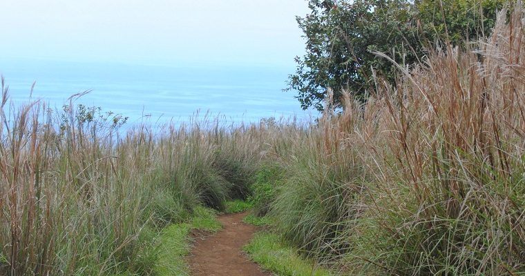 Hiking in Hawaii
